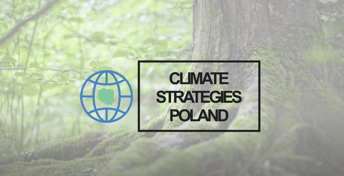 Tapeta z lasem i logo Climate Strategies Poland